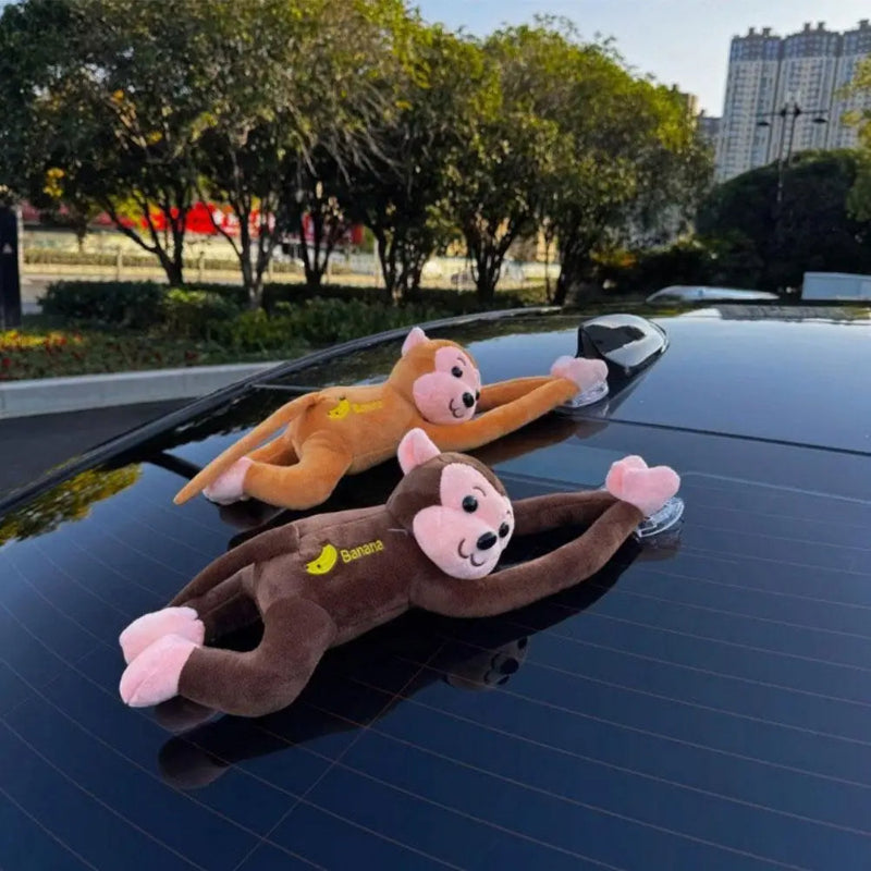 Cool Car Monkey