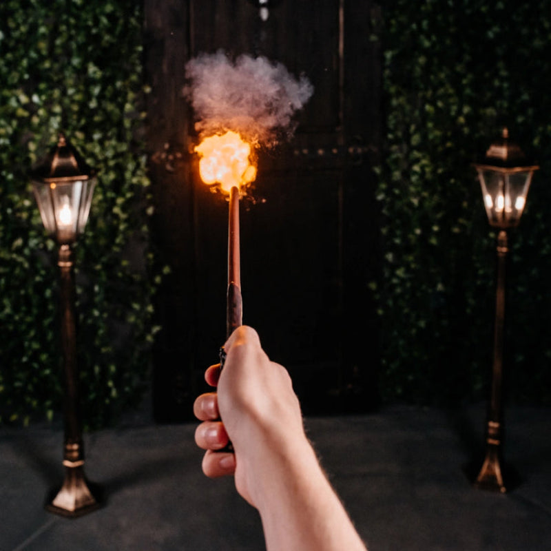 Harry Potter Magic Wand