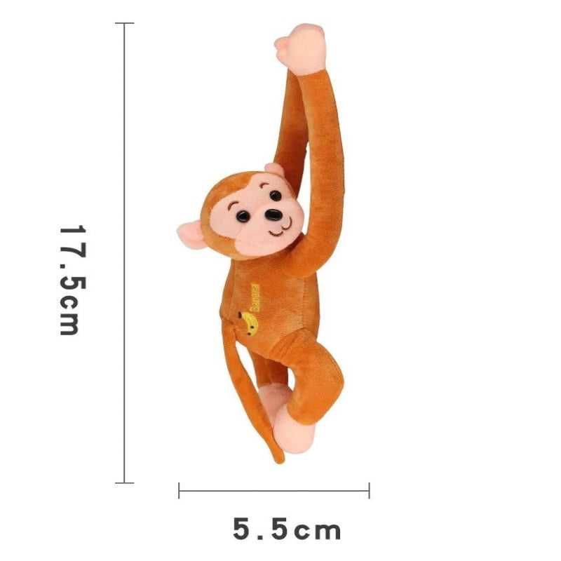 Cool Car Monkey