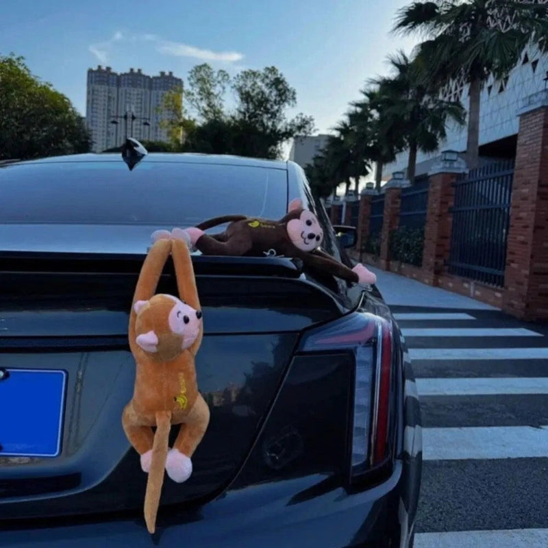Cool Car Monkey