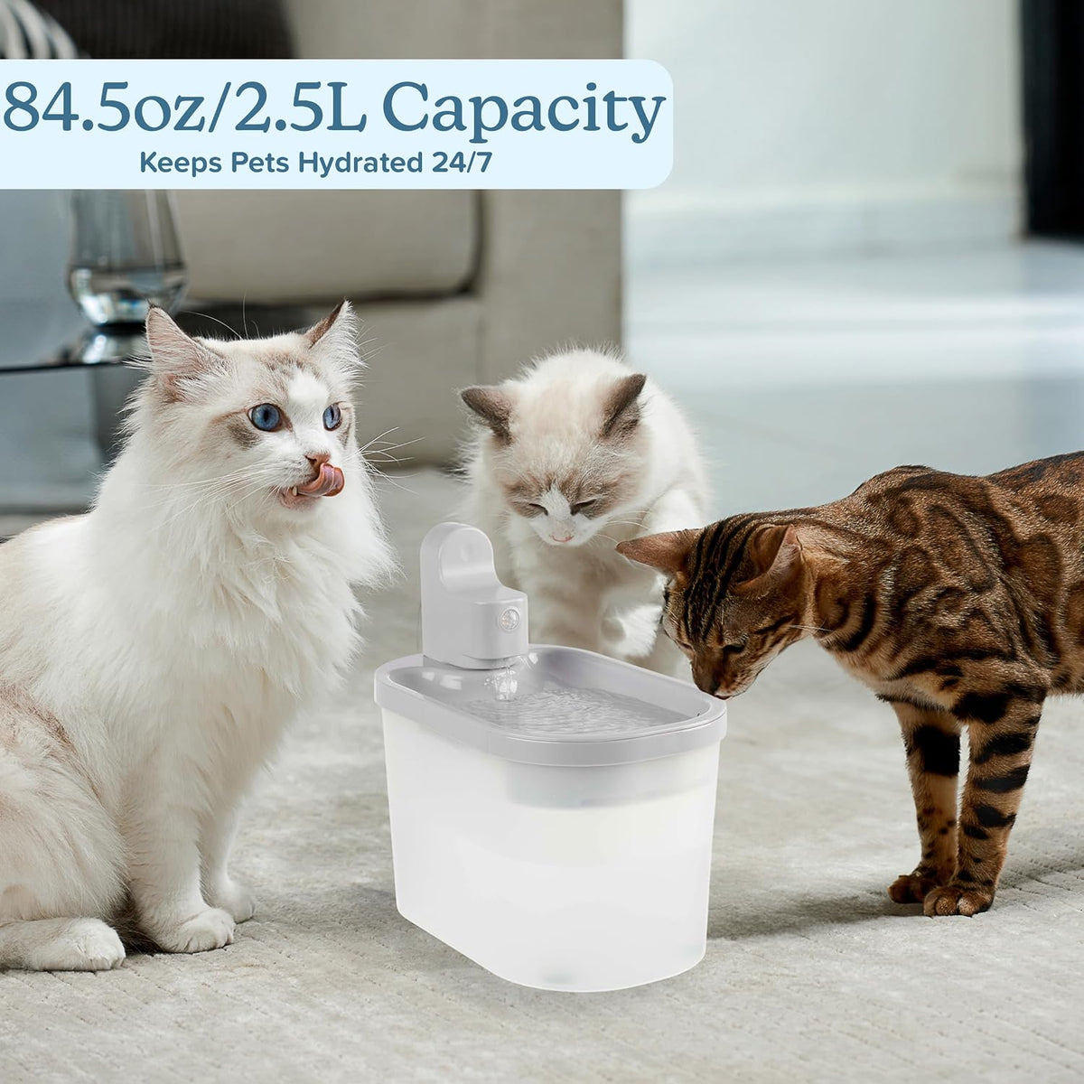 Pet Water Fountain