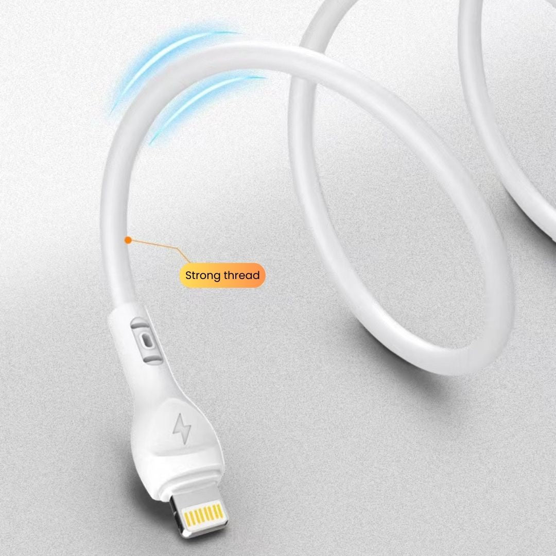 iPhone Charging Cable - PAVAREL