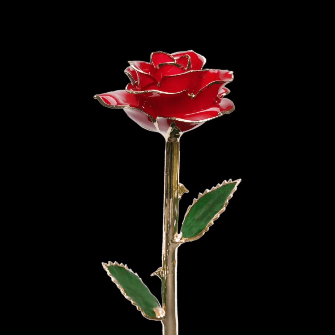 24k Gold Dipped Rose