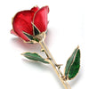 24k Gold Dipped Rose