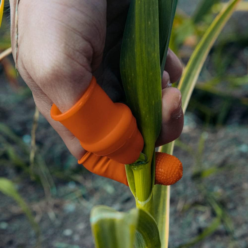 Thumb Knife Cutter