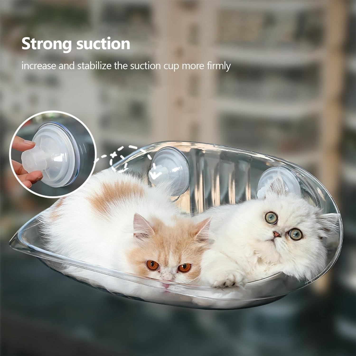 Cat Window Bed