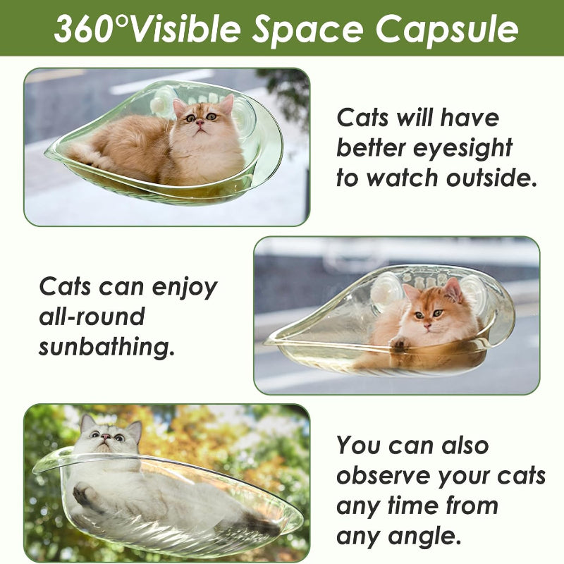 Cat Window Bed