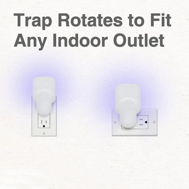 Plug In Fly Trap