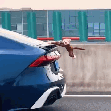 Cool Car Monkey