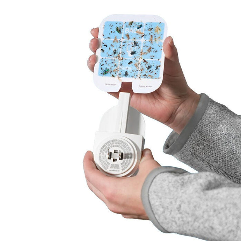 Plug In Fly Trap