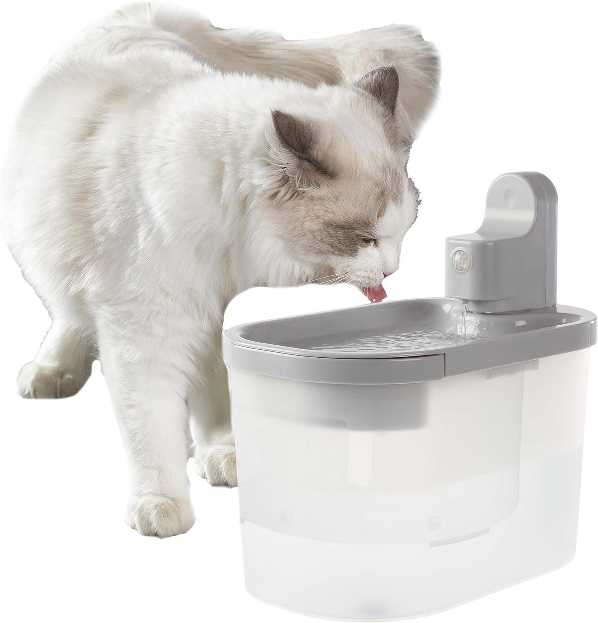 Pet Water Fountain