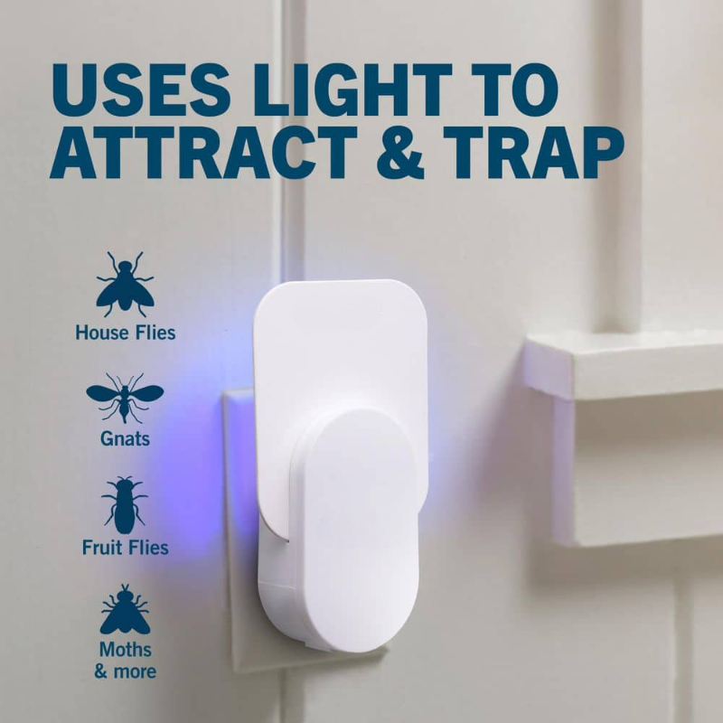 Plug In Fly Trap